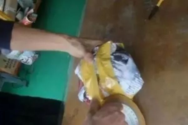 精准黄大仙内部资料大全,精准黄大仙内部资料大全，揭秘神秘面纱下的真相