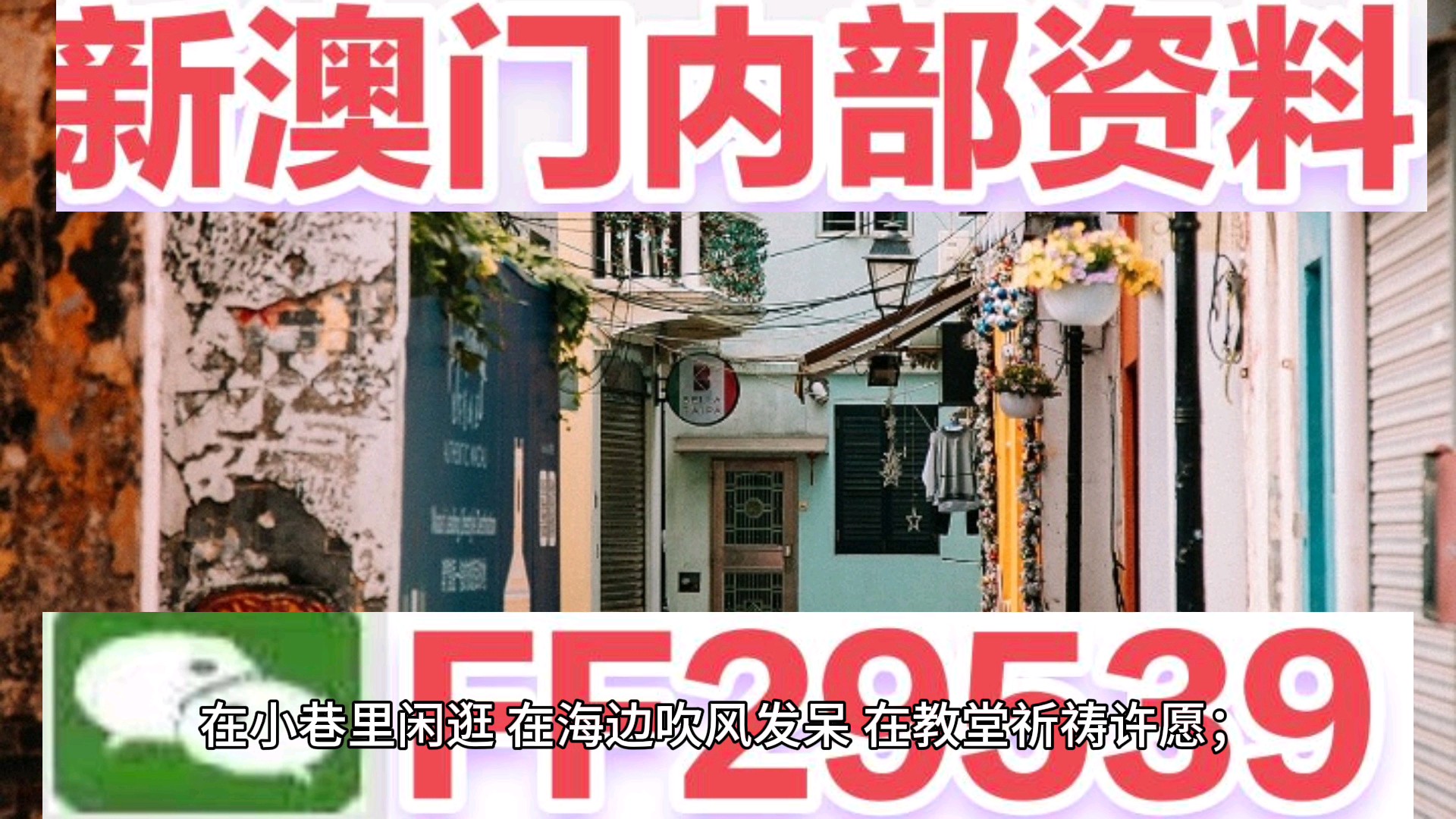 新澳门六开彩开奖号码,新澳门六开彩开奖号码的魅力与探索