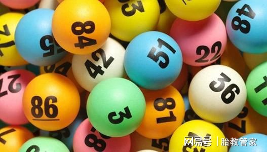 二四六天天彩资料大全网,二四六天天彩资料大全网，探索数字彩票的宝库