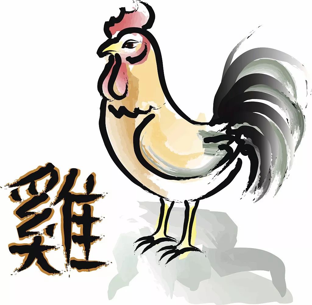 白小姐三肖三码必中生肖,白小姐三肖三码必中生肖——揭秘彩票背后的秘密