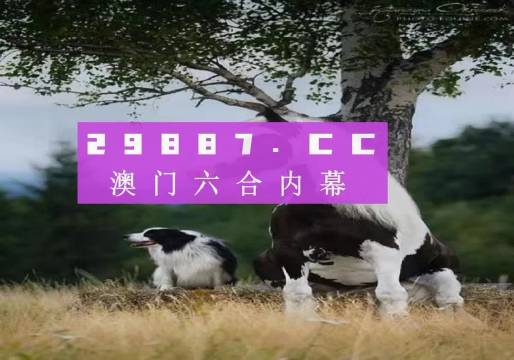 澳门一肖一码准选一码2023年,澳门一肖一码准选一码，探索与预测2023年的秘密
