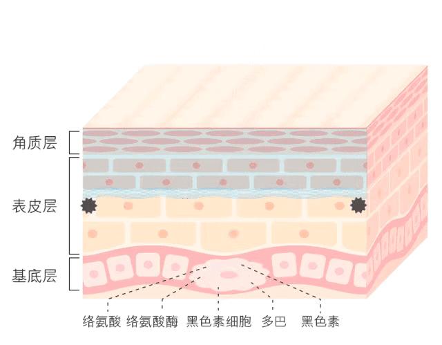 资讯 第39页