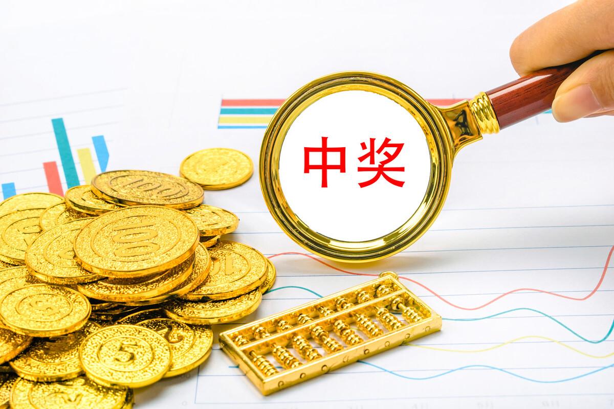 港澳六开彩开奖号码记录第96,港澳六开彩开奖号码记录第96期，探索彩票背后的故事与魅力