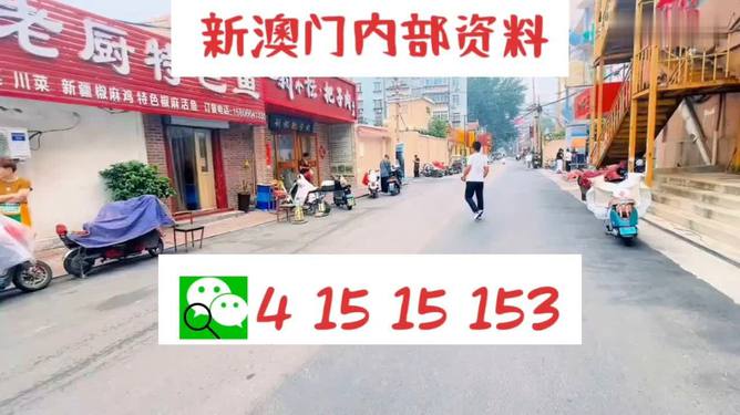 2004新奥门天天开好彩,2004新澳门天天开好彩，繁荣背后的故事