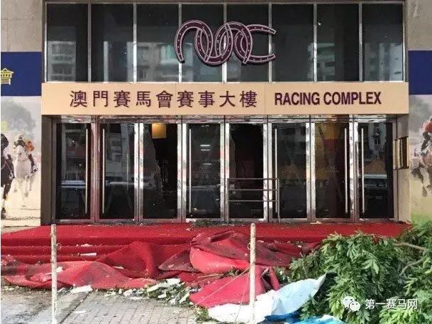 2025今晚新澳门马出什么,探索未来之门，新澳门马会预测与深度解读（关键词，今晚新澳门马出什么）
