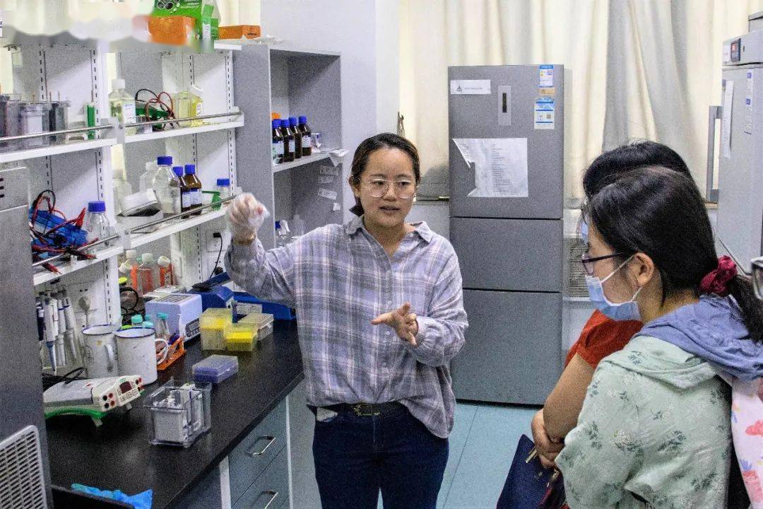 2025最新奥马免费资料生肖,探索未来奥秘，最新奥马免费资料生肖解析（2025版）