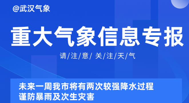 2025新奥精准正版资料,探索未来，2025新奥精准正版资料的价值与影响
