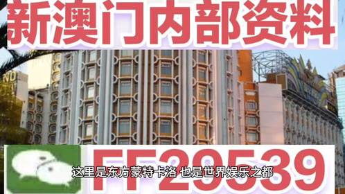 澳门特马今天开奖结果,澳门特马今天开奖结果及其背后的故事