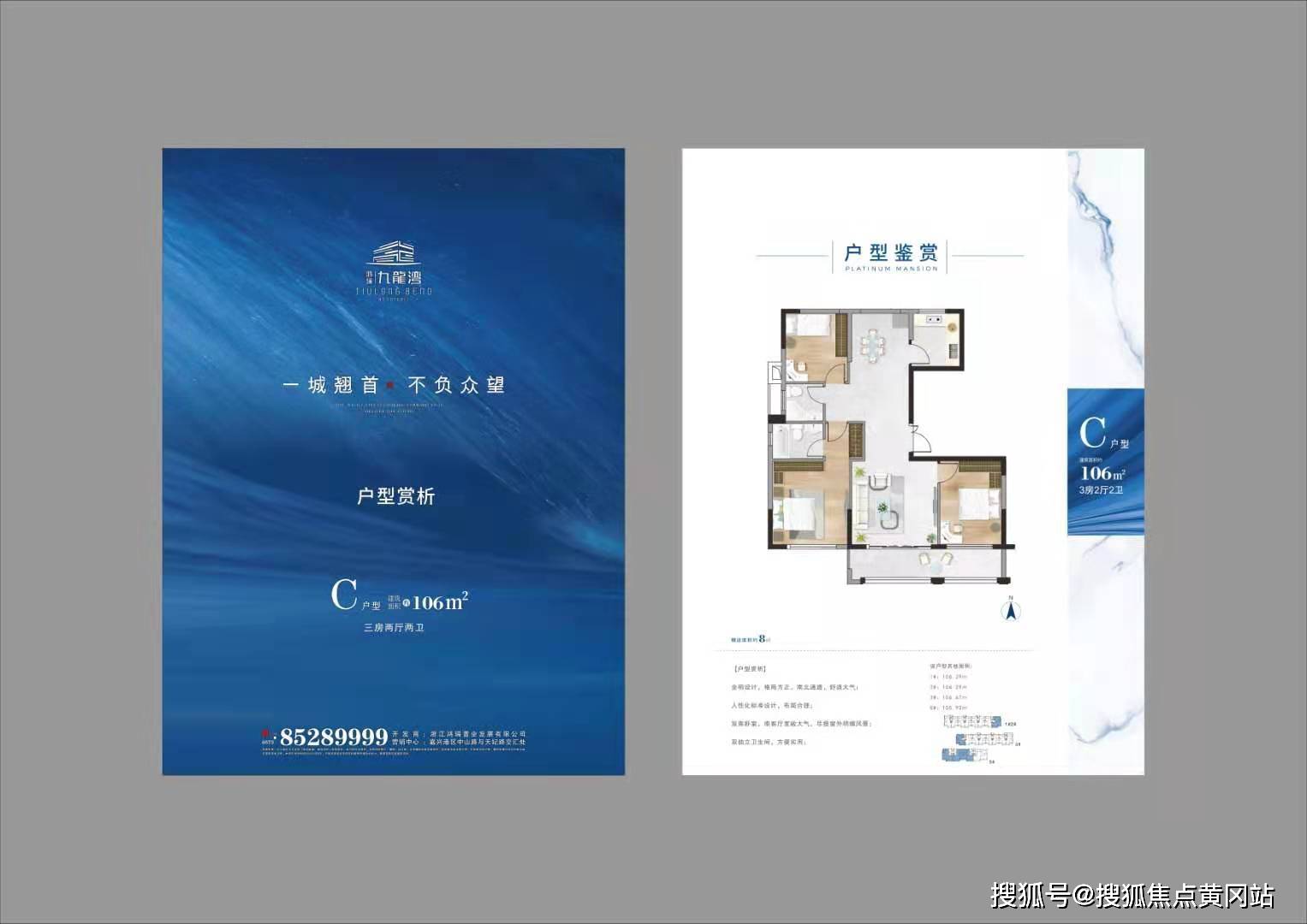 新澳2025正版资料,新澳2025正版资料深度解析
