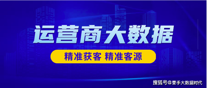 管家婆资料精准大全2025,管家婆资料精准大全2025，洞悉商业管理的奥秘与策略