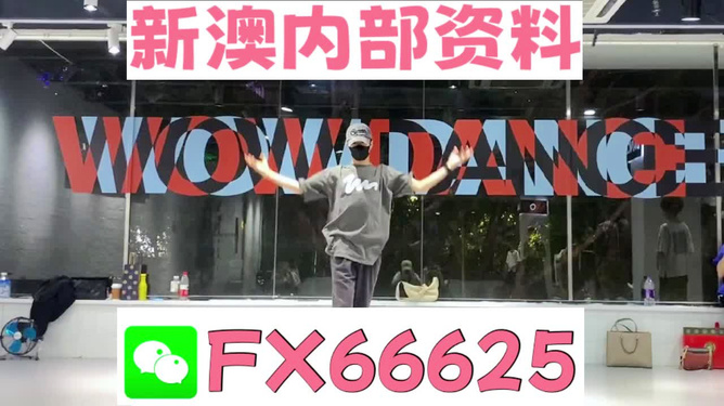 管家婆精准一码一肖揭秘,管家婆精准一码一肖揭秘，探寻背后的秘密与真相
