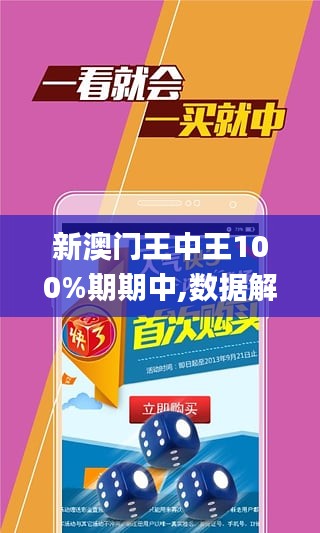 香港王中王0149站网,香港王中王0149站网，探索与解析