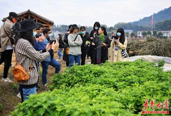 2025年正版免费资料大全最新版本,探索未来，2025年正版免费资料大全最新版本的蓝图