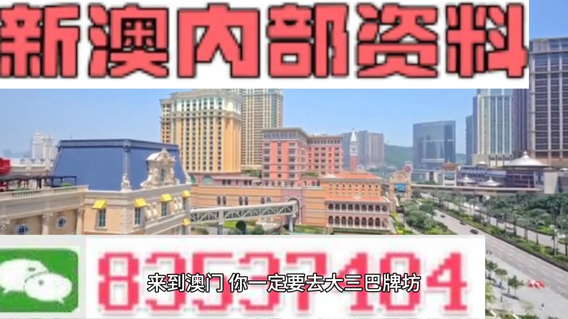 新澳门免费全年资料查询,新澳门免费全年资料查询，深度探索与实用指南