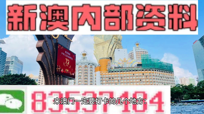 澳门4949资料最经典的一句,澳门4949资料最经典的一句——揭示其背后蕴含的智慧与启示